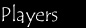 palyer.jpg (6614 bytes)